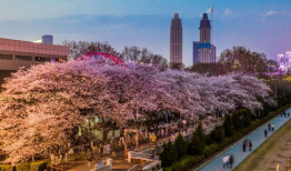 抖音吃瓜爆料最新入口,揭秘最新热门事件入口！”